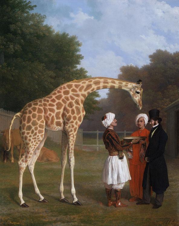 Jacques-Laurent Agasse The Nuian Giraffe (mk25) oil painting picture